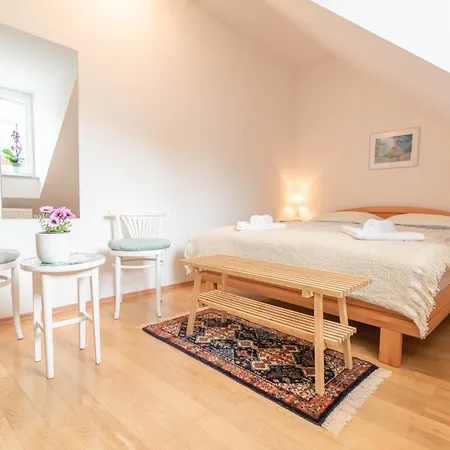 Trubarjeva 12 - The View Apartment