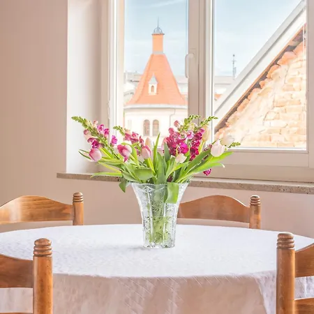 Trubarjeva 12 - The View Apartamento *