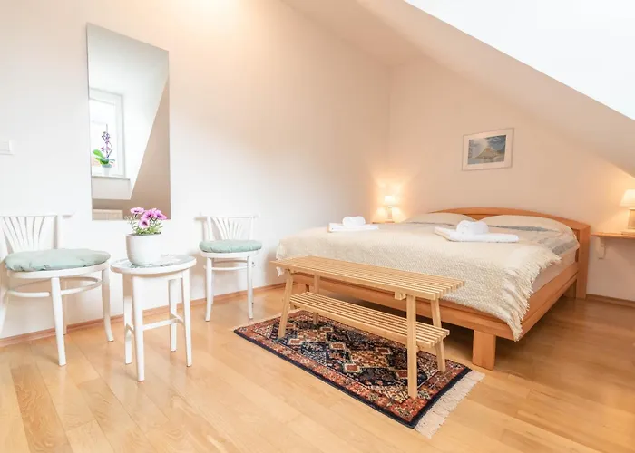 Trubarjeva 12 - The View Апартаменти