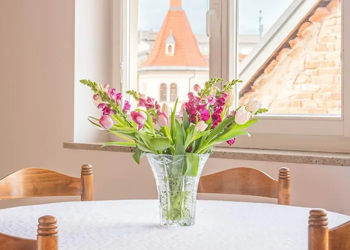 Trubarjeva 12 - The View Apartment *