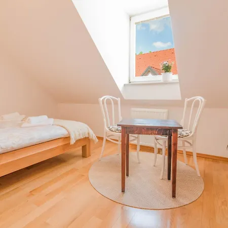 Apartment Trubarjeva 12 - The View