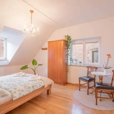 Trubarjeva 12 - The View Apartment *