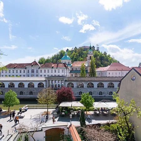 Apartment Trubarjeva 12 - The View
