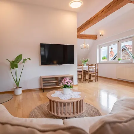 Apartment Trubarjeva 12 - The View *